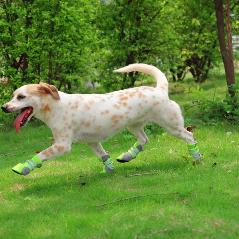 Zapatos para perros deportivos cómodos, casuales, reflectantes y transpirables de malla al por mayor