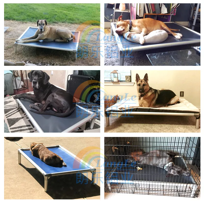 Ventas Calientes Cama para Perros Elevada Personalizada de Aluminio Resistente a Mordeduras para Exterior Ecológica