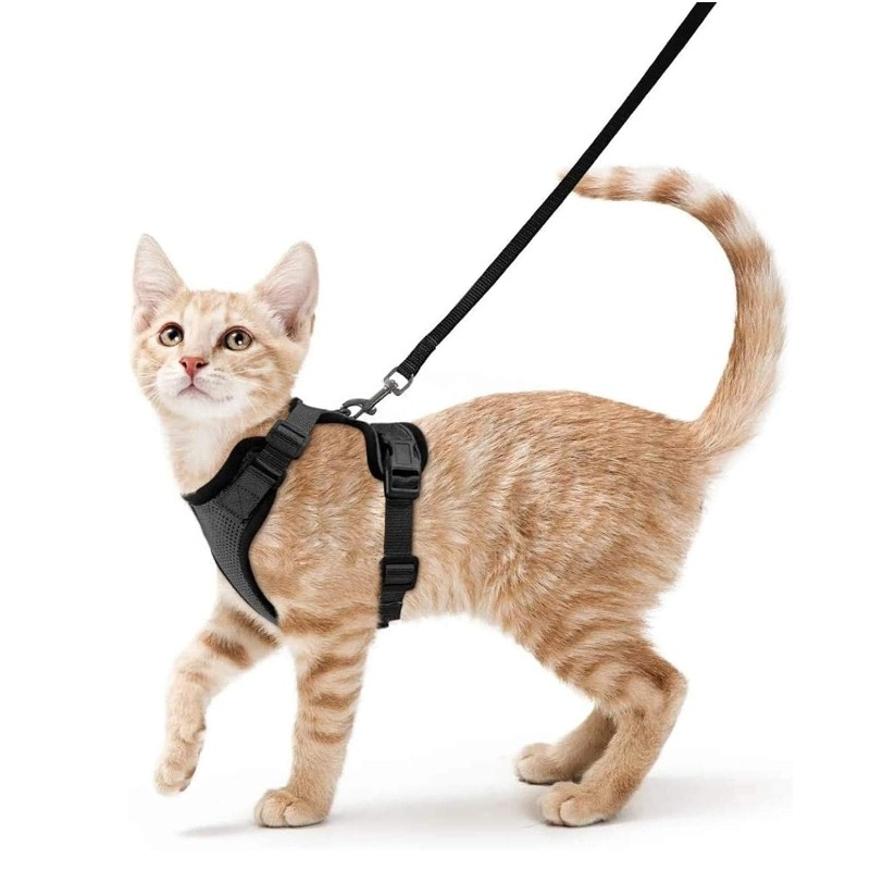 Arneses para gatos de todas las estaciones y cuerdas de salida, correas para el pecho de mascotas para aventuras al aire libre, nuevo arnés para mascotas