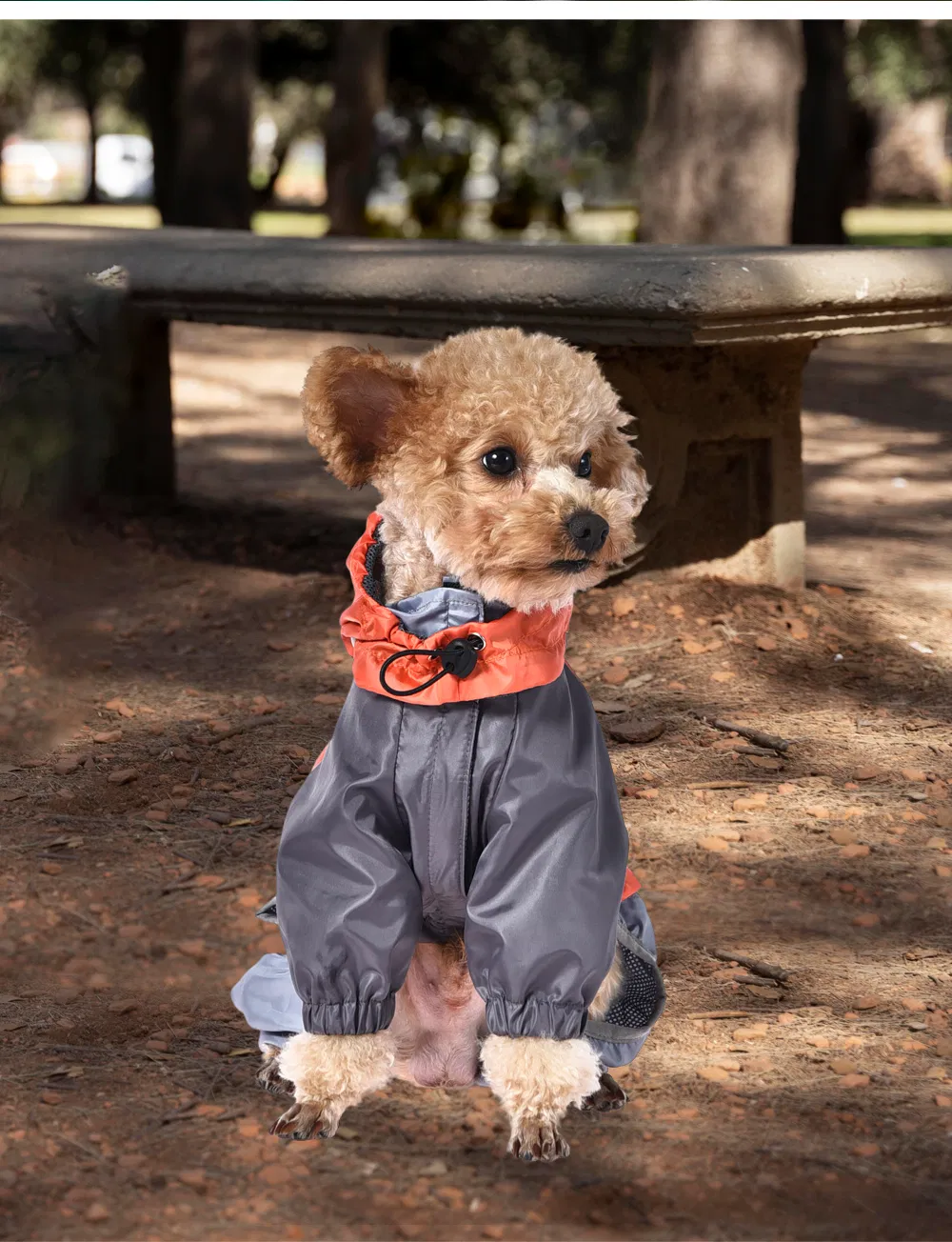 Fábrica de Ropa para Mascotas Chaqueta Ligera Impermeable para Perros Ropa para Perros Ropa Transpirable para Mascotas