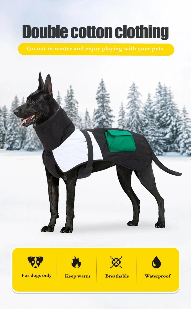 Detalle chaqueta perro 1