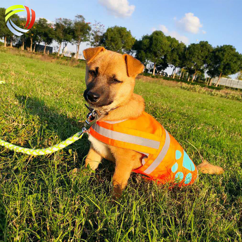 Chaleco de seguridad ajustable Pet actividades al aire libre Caminata Caza alta Chaleco reflectante de perro de visibilidad