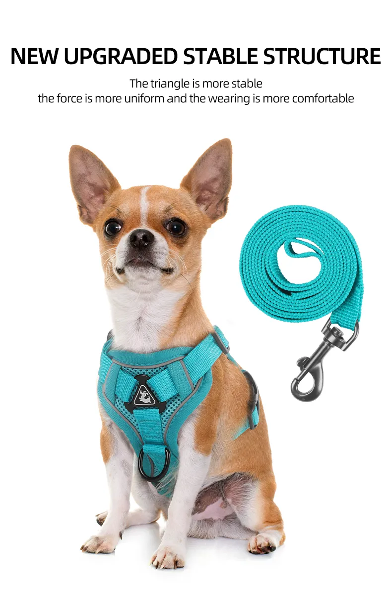 Nuevo arnés para mascotas estilo chaleco de poliéster para gatos