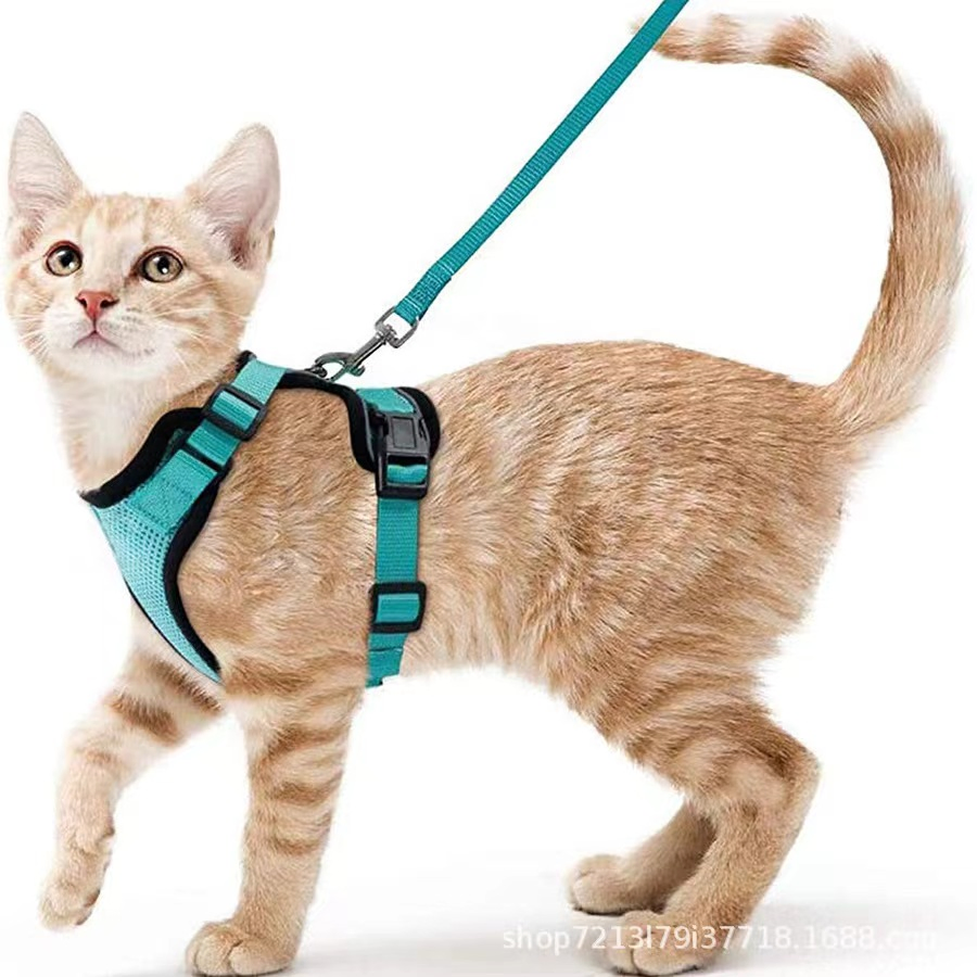 Fabricantes OEM Personalizado Sublimación Escape Prueba Fácil Ajustable Arnés Correa y Arnés para Gato