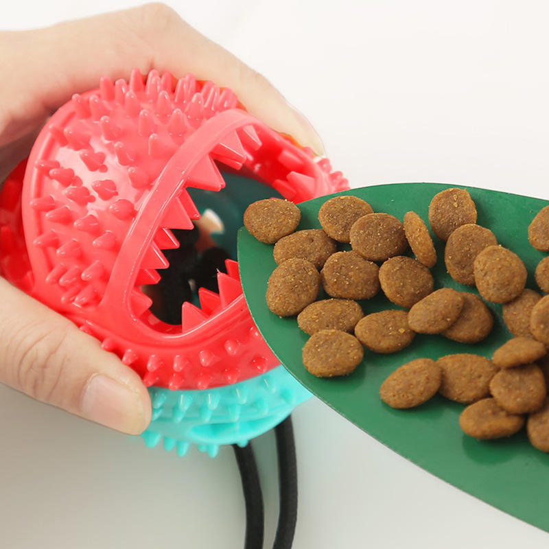 Juguete interactivo para perros con cuerda de succión, bola para masticar, juguete molar para mascotas