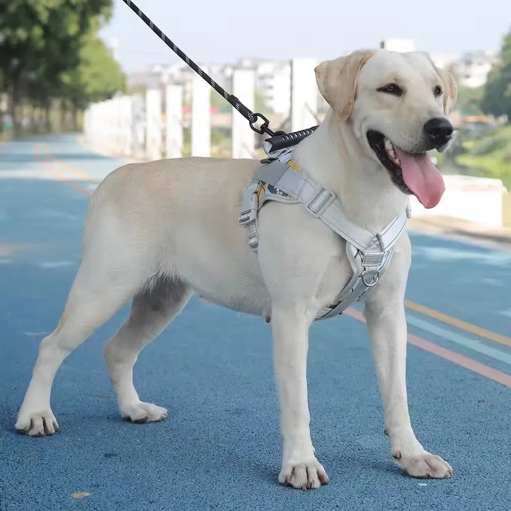 Arnés impermeable para perros medianos