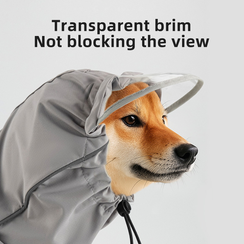 Impermeable definitivo para perros - Mejor equipo para mascotas