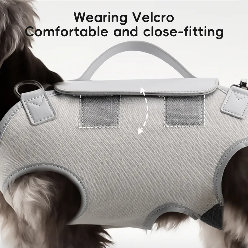 Bolsa moderna y sencilla para productos de mascotas para un transporte conveniente de perros