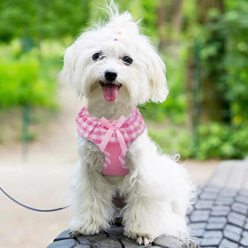 Arnés de moda para mascotas, perro y gato