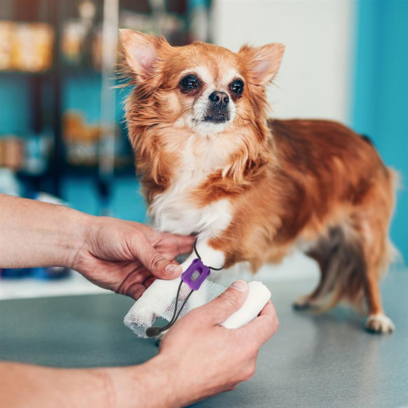 Torniquete Perro Primer Mascota Animal Liberación Rápida Gato Torniquete Torniquetes Ayuda Canina Elástico Portátil Gatos Ayudas Médicas