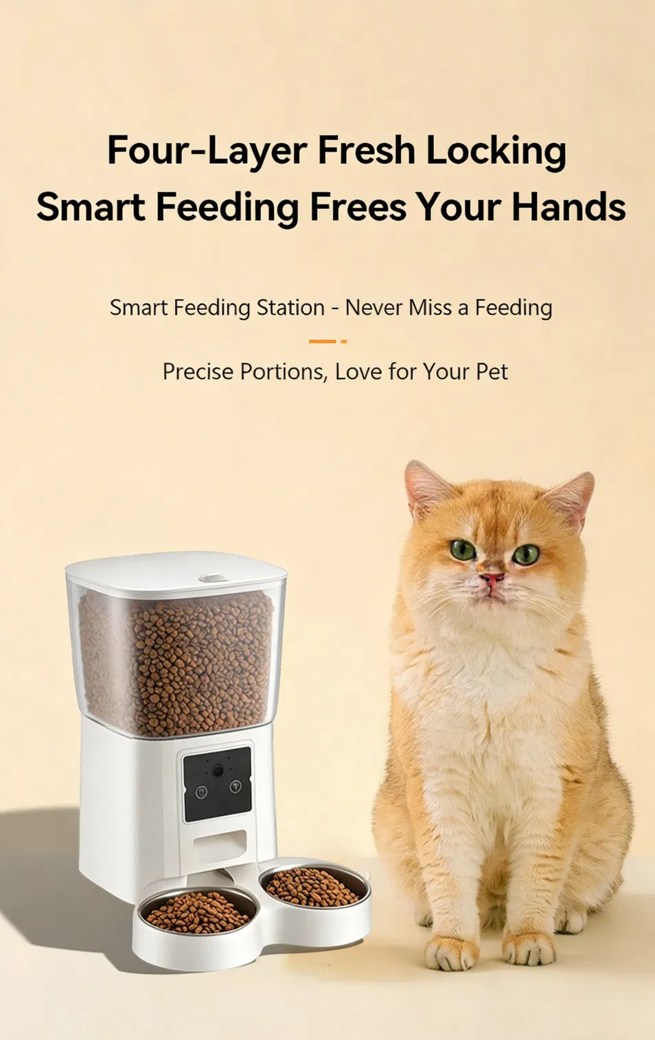 Alimentación remota interactiva para gatos