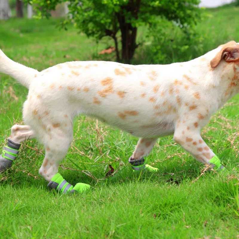 Zapatos para perros deportivos cómodos, casuales, reflectantes y transpirables de malla al por mayor
