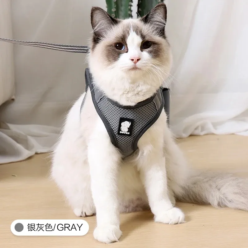 Accesorios de paseo para mascotas