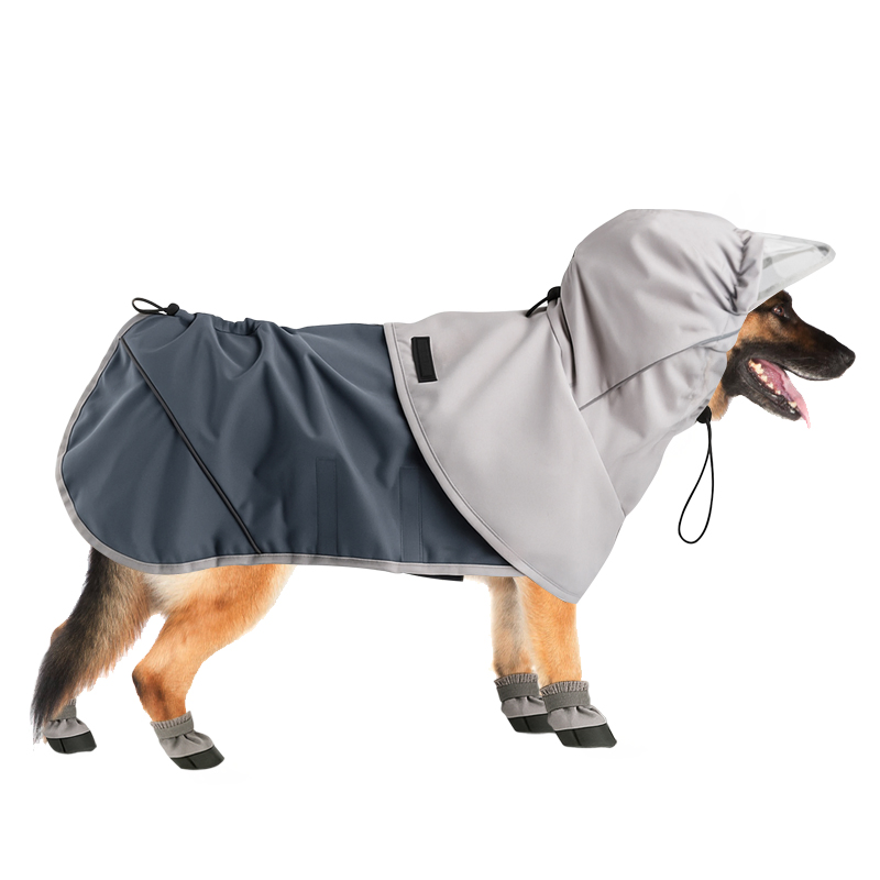 Impermeable definitivo para perros - Mejor equipo para mascotas