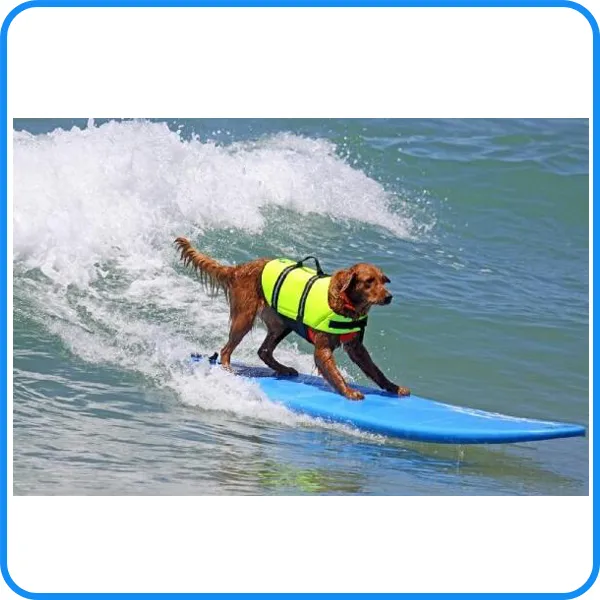 Chaleco de seguridad para perros de alta calidad de fábrica