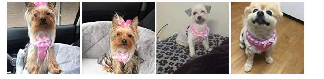 Arnés de moda para mascotas, perro y gato