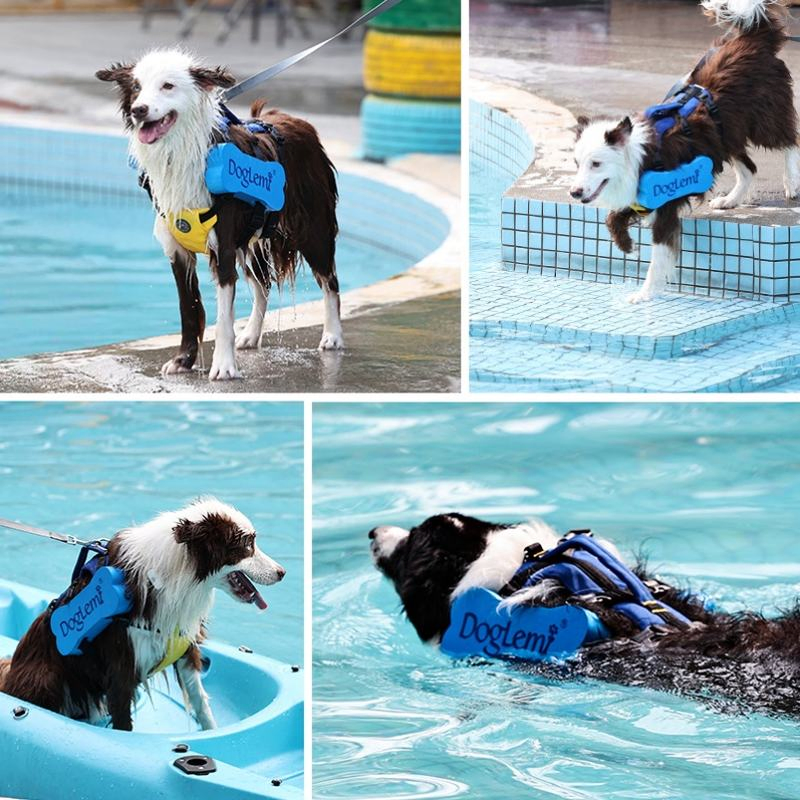 Chaleco de seguridad para perros azul transpirable con anillo en D para navegación y piscina