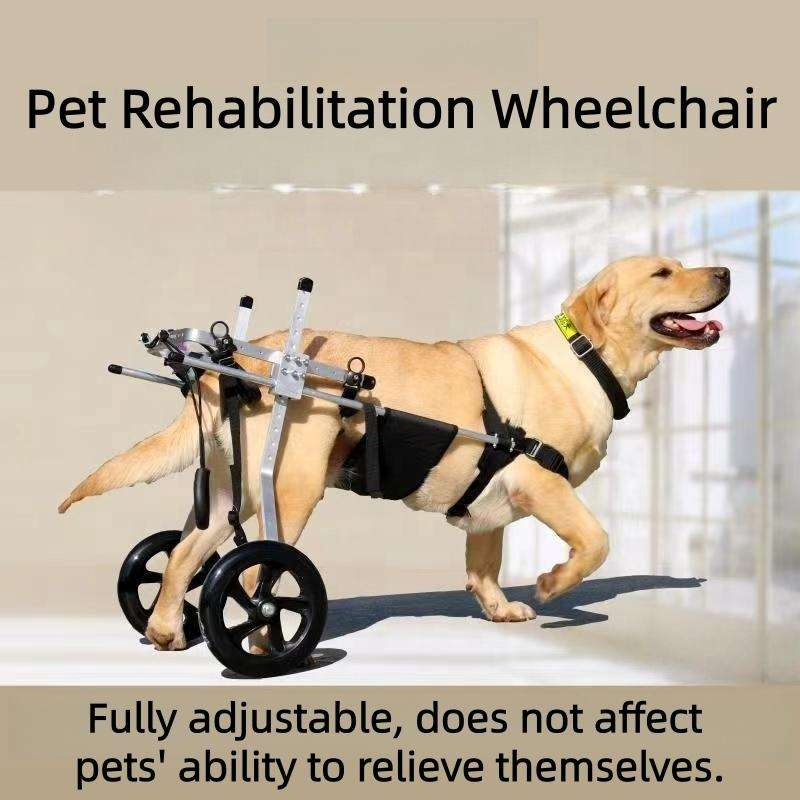 Silla de ruedas trasera ajustable de aluminio para perros grandes discapacitados en recuperación de movilidad