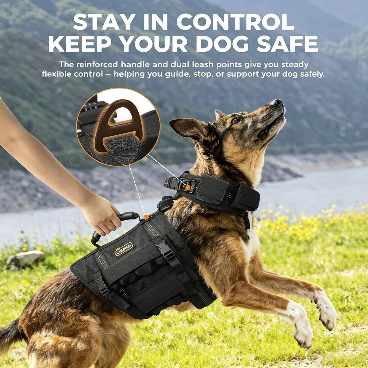 Conjunto de Chaleco y Collar para Perros con 4 Pesas Removibles de 0.88 Lb Equipamiento de Entrenamiento para Perros Medianos y Grandes