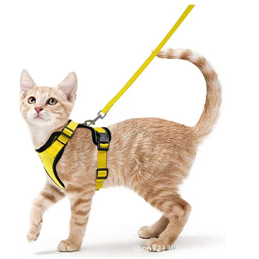 Fabricantes OEM Personalizado Sublimación Escape Prueba Fácil Ajustable Arnés Correa y Arnés para Gato