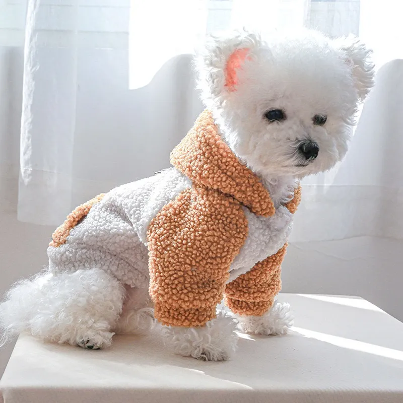 Ropa para perros de invierno