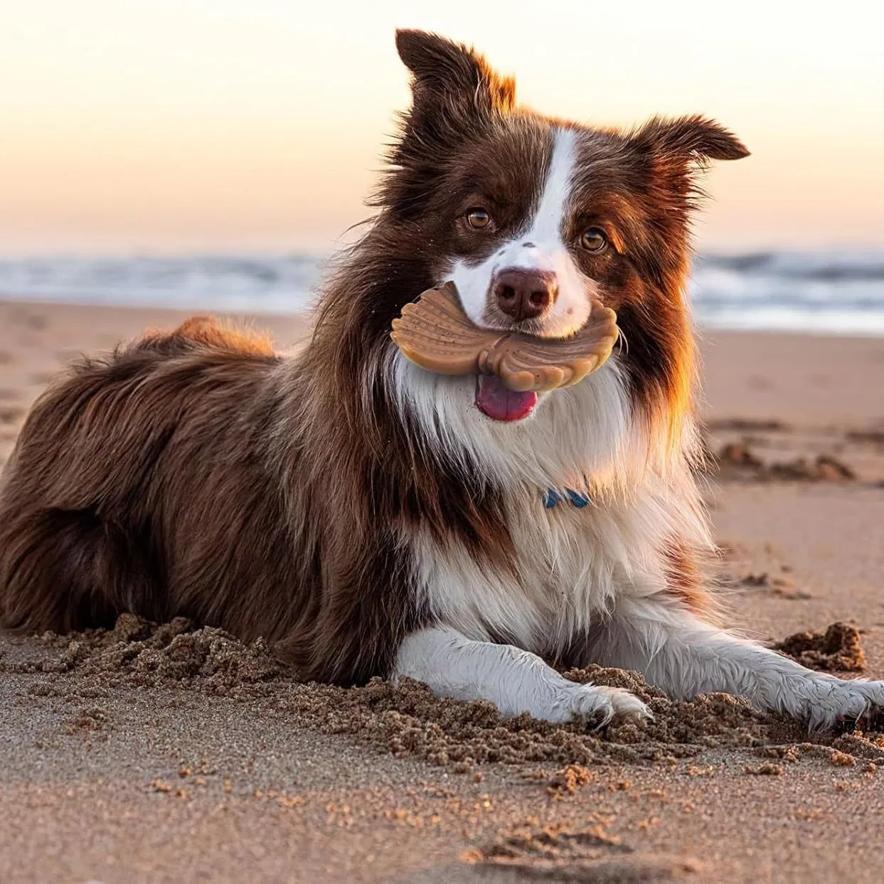 Juguetes interactivos para perros, duraderos, resistentes a mordidas, a prueba de fugas, para limpiar los dientes y moler huesos
