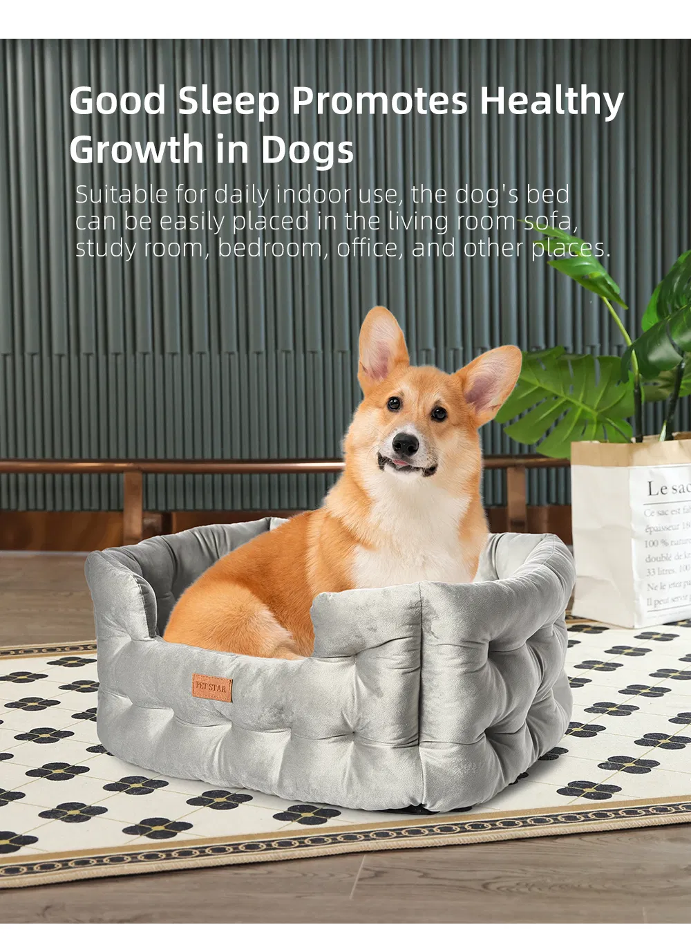 Cama de perro de lujo de terciopelo acolchado y cómodo con cojín removible