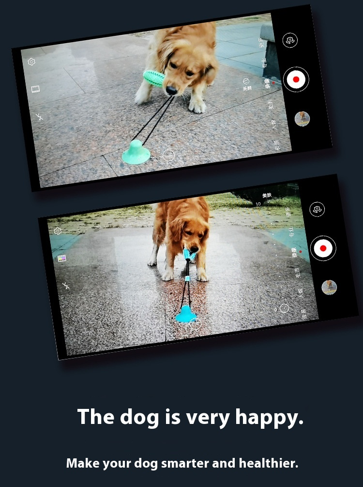 Juguete interactivo para perros con cuerda de succión, bola para masticar, juguete molar para mascotas