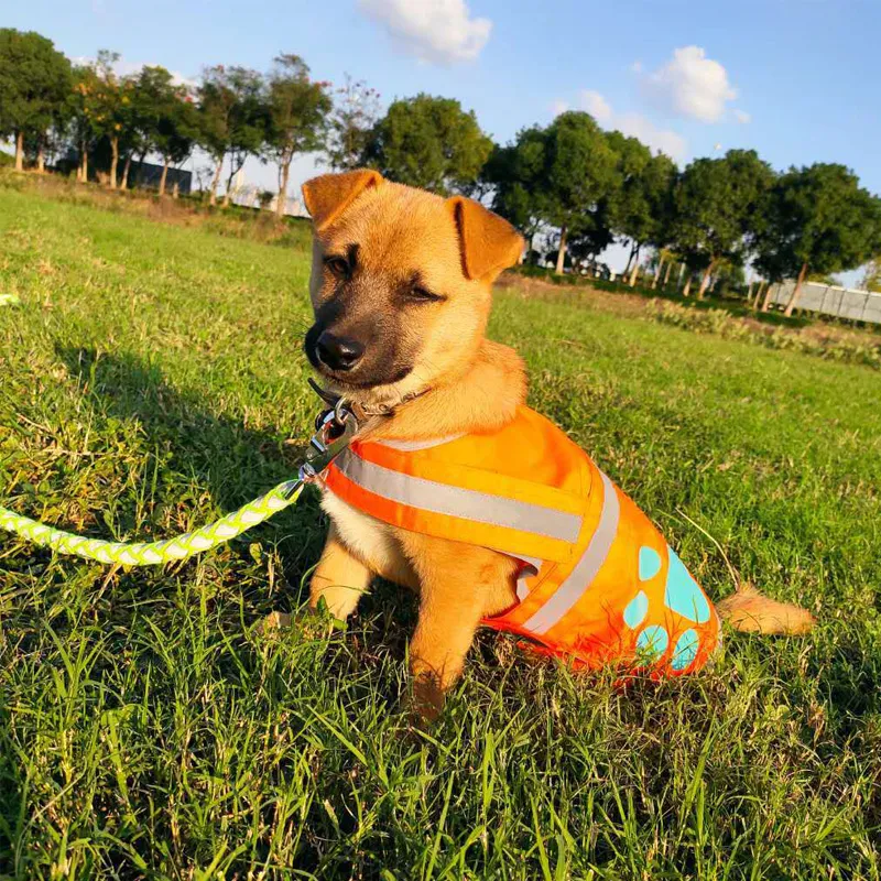 Chaleco de seguridad reflectante de perro - vista 1