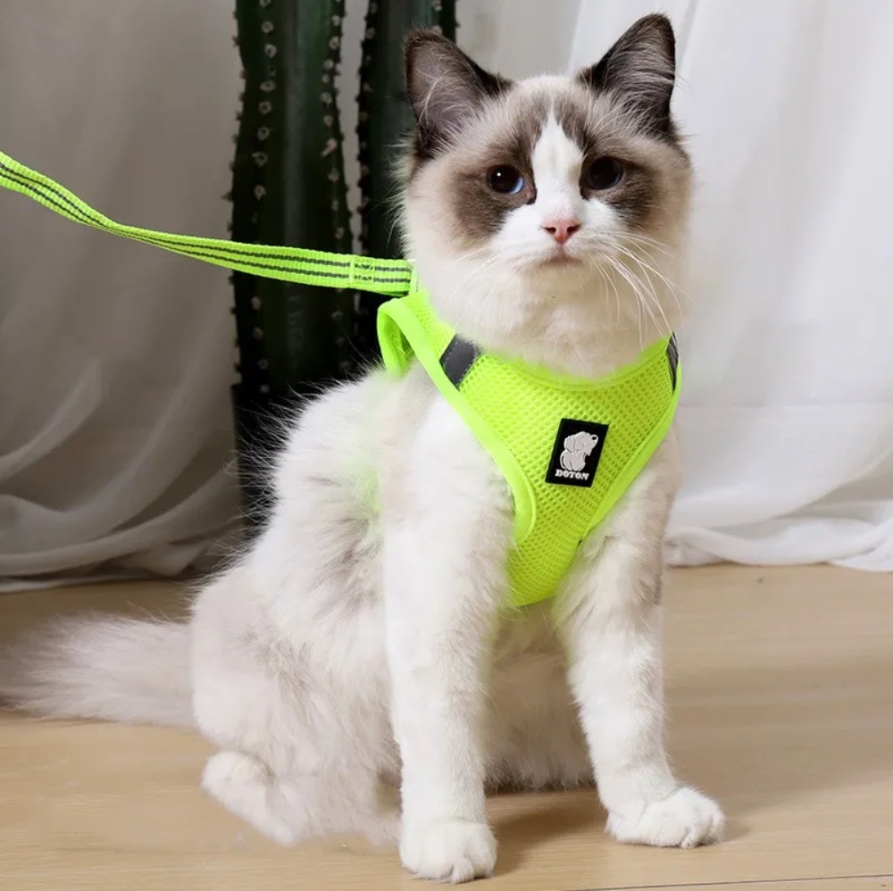 Arneses para mascotas con tirantes ajustables de malla transpirable y tira reflectante