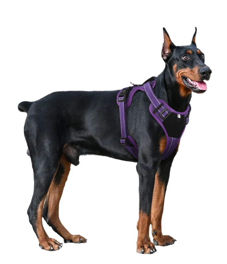 Chaleco ligero para perros sin tirones con tira reflectante