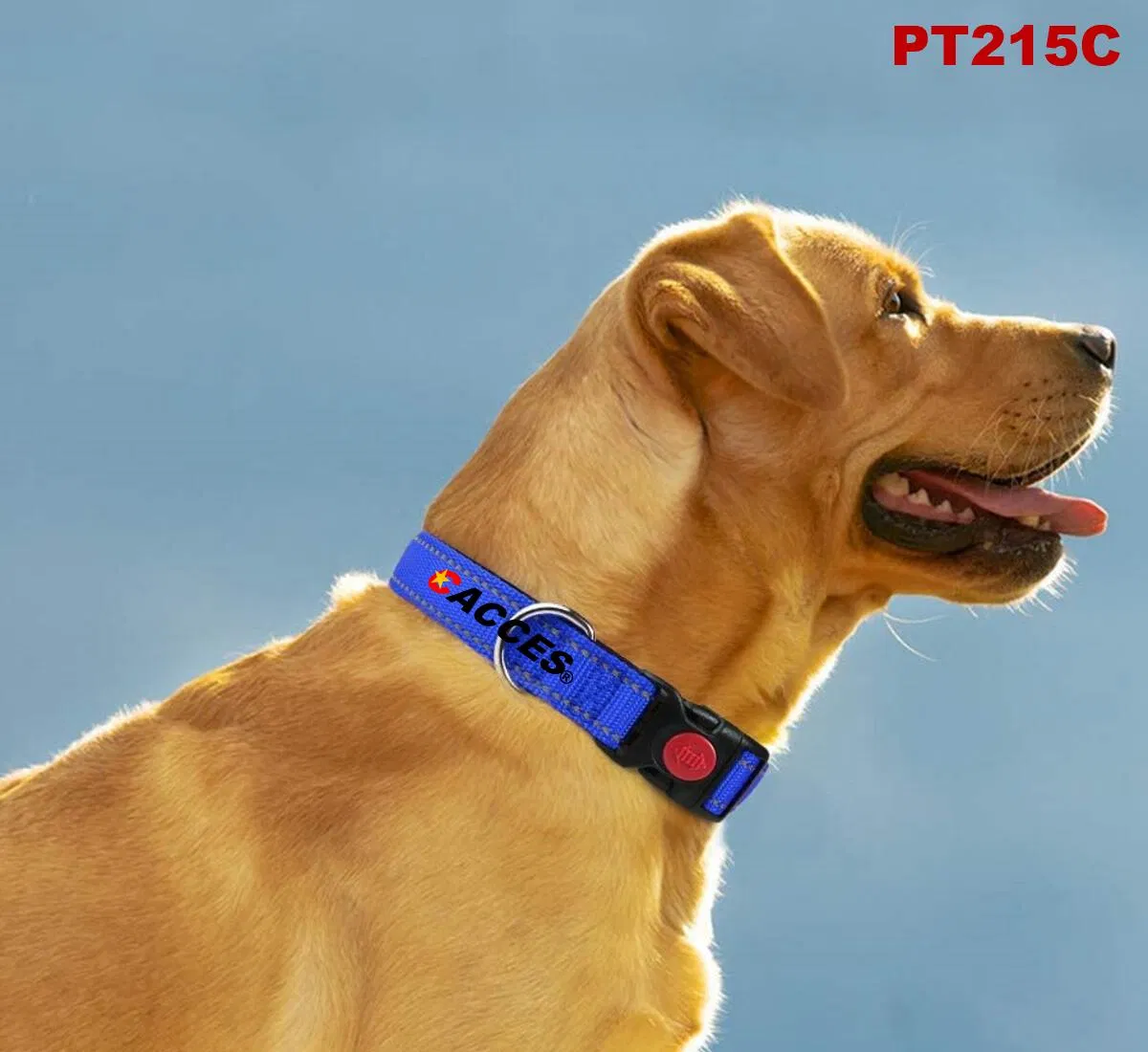 Collares para cachorros, collar reflectante para cachorros con doble seguridad, hebilla de liberación rápida, correa ajustable, collar de seguridad para mascotas para cachorros y gatos, arnés para el cuello de perros