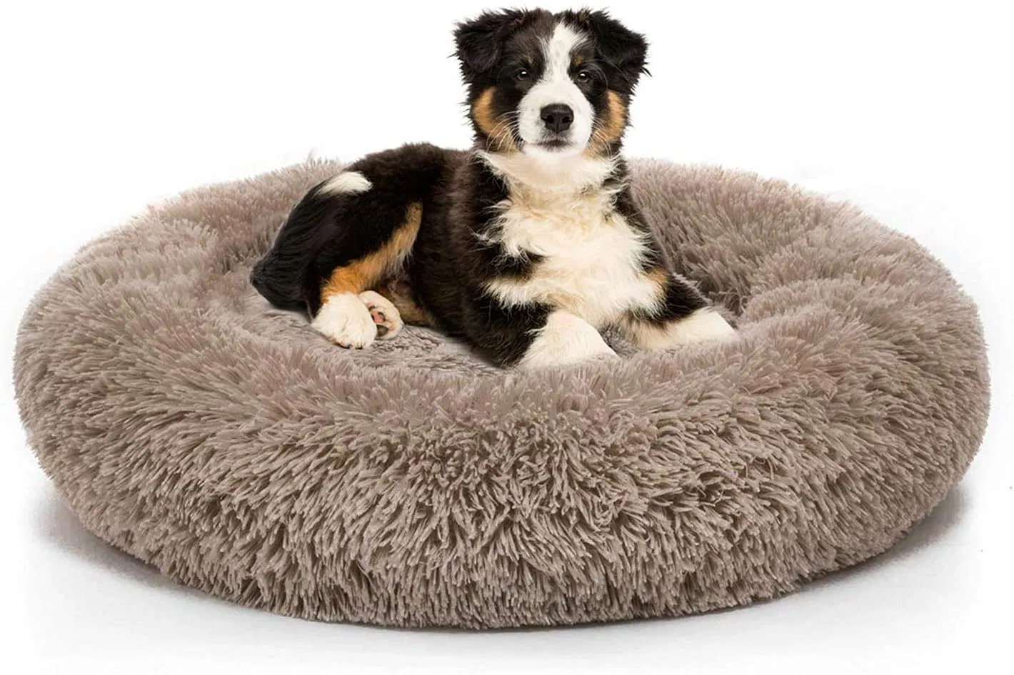 Sofá de lujo cómodo, cama para perros a granel de algodón PP impermeable
