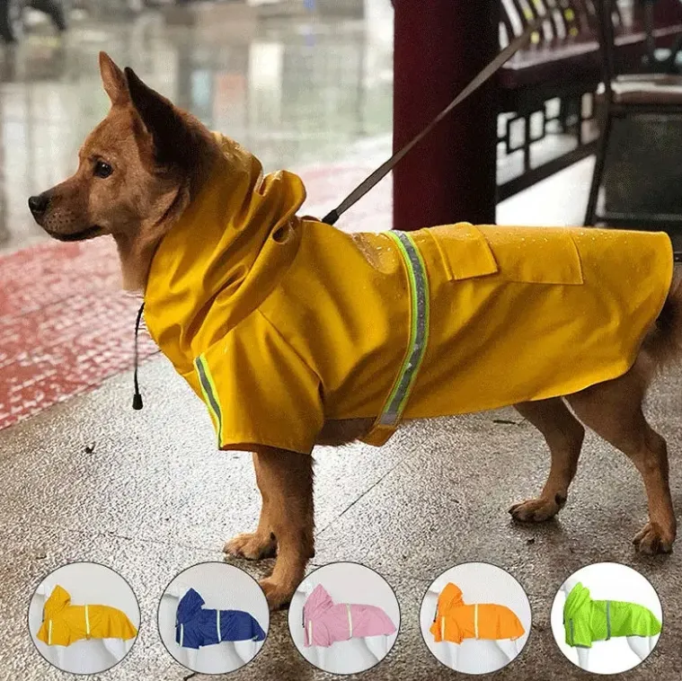 Impermeable Duradero para Perros: El Equipo Definitivo para Climas Húmedos