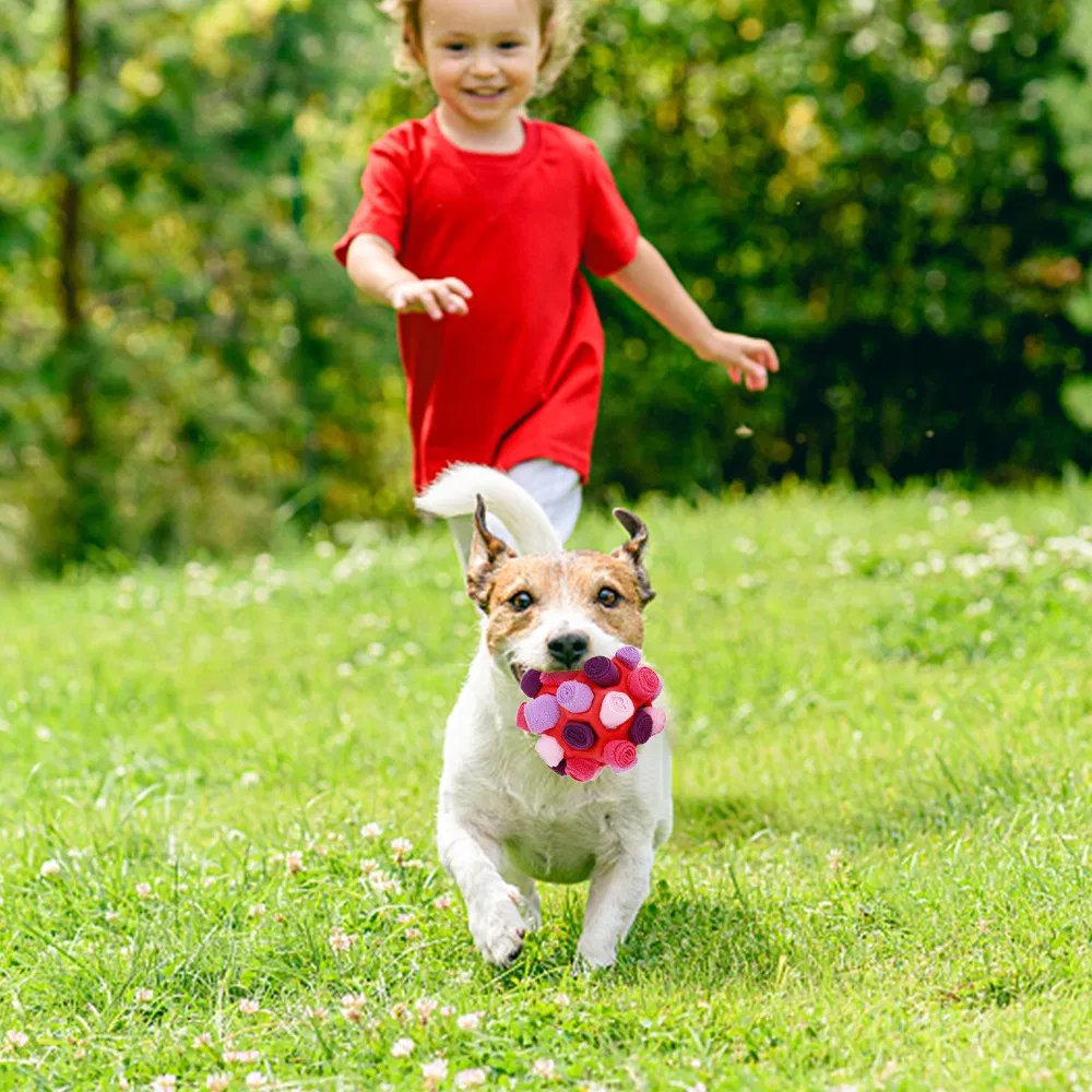 Juguete portátil para limpiar los dientes de perros, entrenamiento interactivo, bola de forrajeo