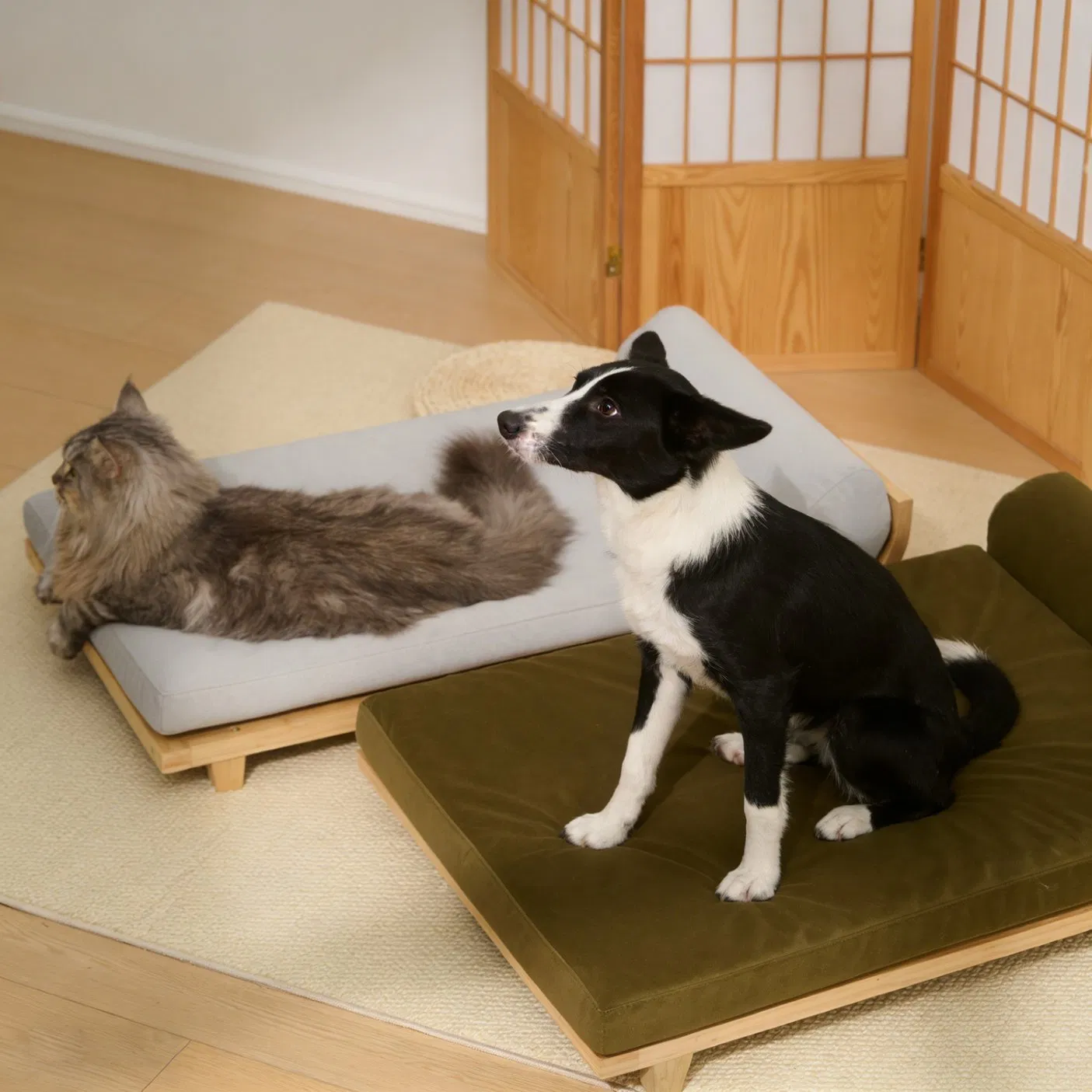 Fabricante chino al por mayor cama para mascotas bicolor para gatos y perros elegante y cómoda