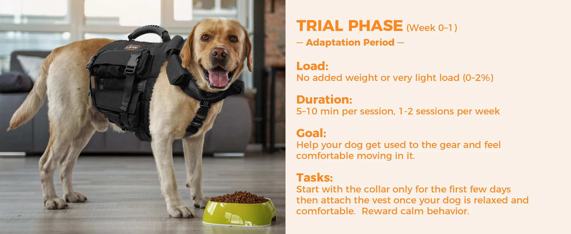 Conjunto de Chaleco y Collar para Perros con 4 Pesas Removibles de 0.88 Lb Equipamiento de Entrenamiento para Perros Medianos y Grandes