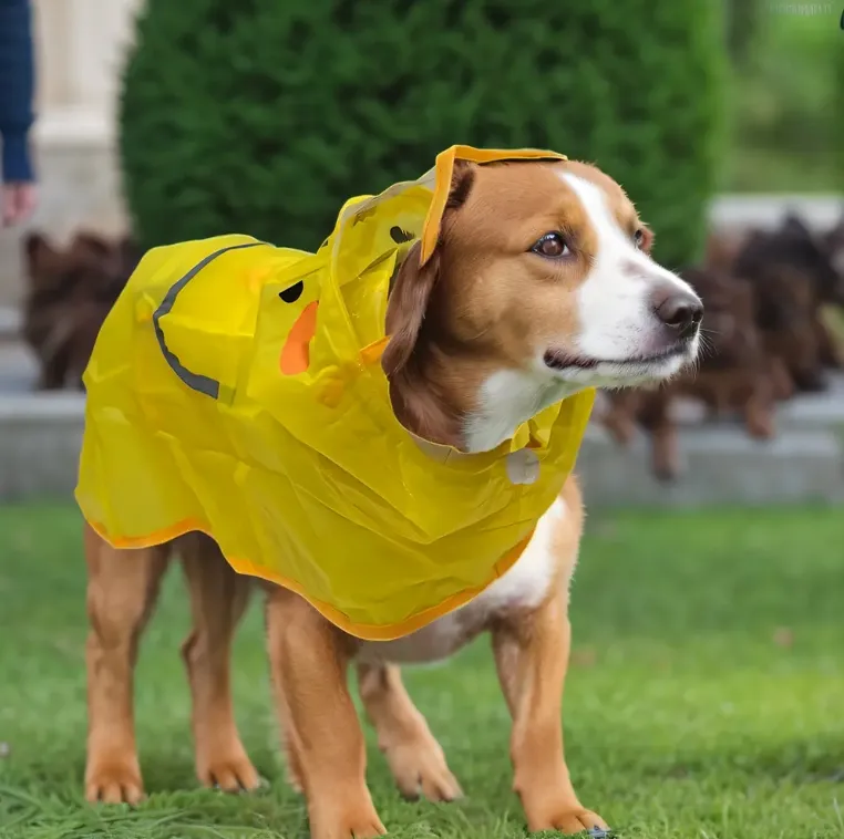Abrigo de Lluvia de TPU Premium para Perros: Equipamiento para Mascotas 100% Impermeable