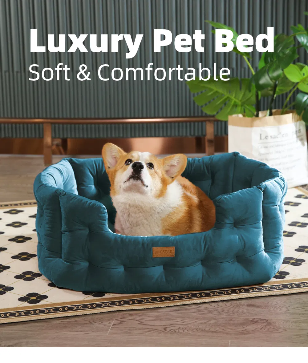 Cama de perro de lujo de terciopelo acolchado y cómodo con cojín removible
