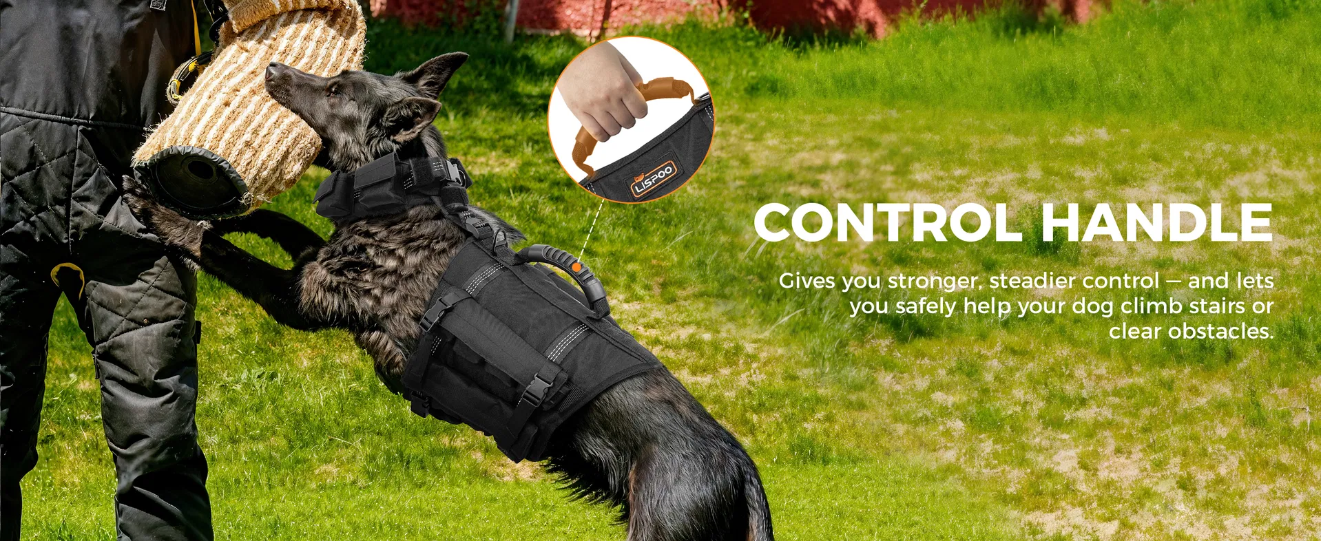 Conjunto de Chaleco y Collar para Perros con 4 Pesas Removibles de 0.88 Lb Equipamiento de Entrenamiento para Perros Medianos y Grandes