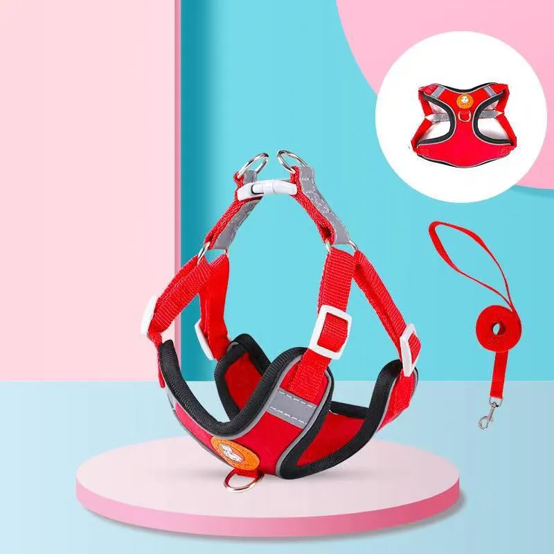 Diseño de todo los pequeños perros gatos Pet Safe correa corta el mazo de cables