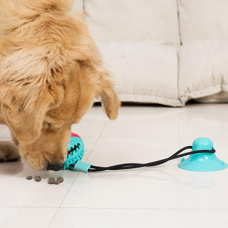 Juguete interactivo para perros con cuerda de succión, bola para masticar, juguete molar para mascotas
