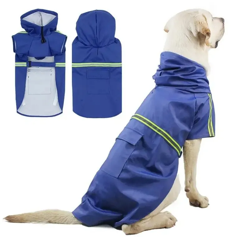 Impermeable Duradero para Perros: El Equipo Definitivo para Climas Húmedos