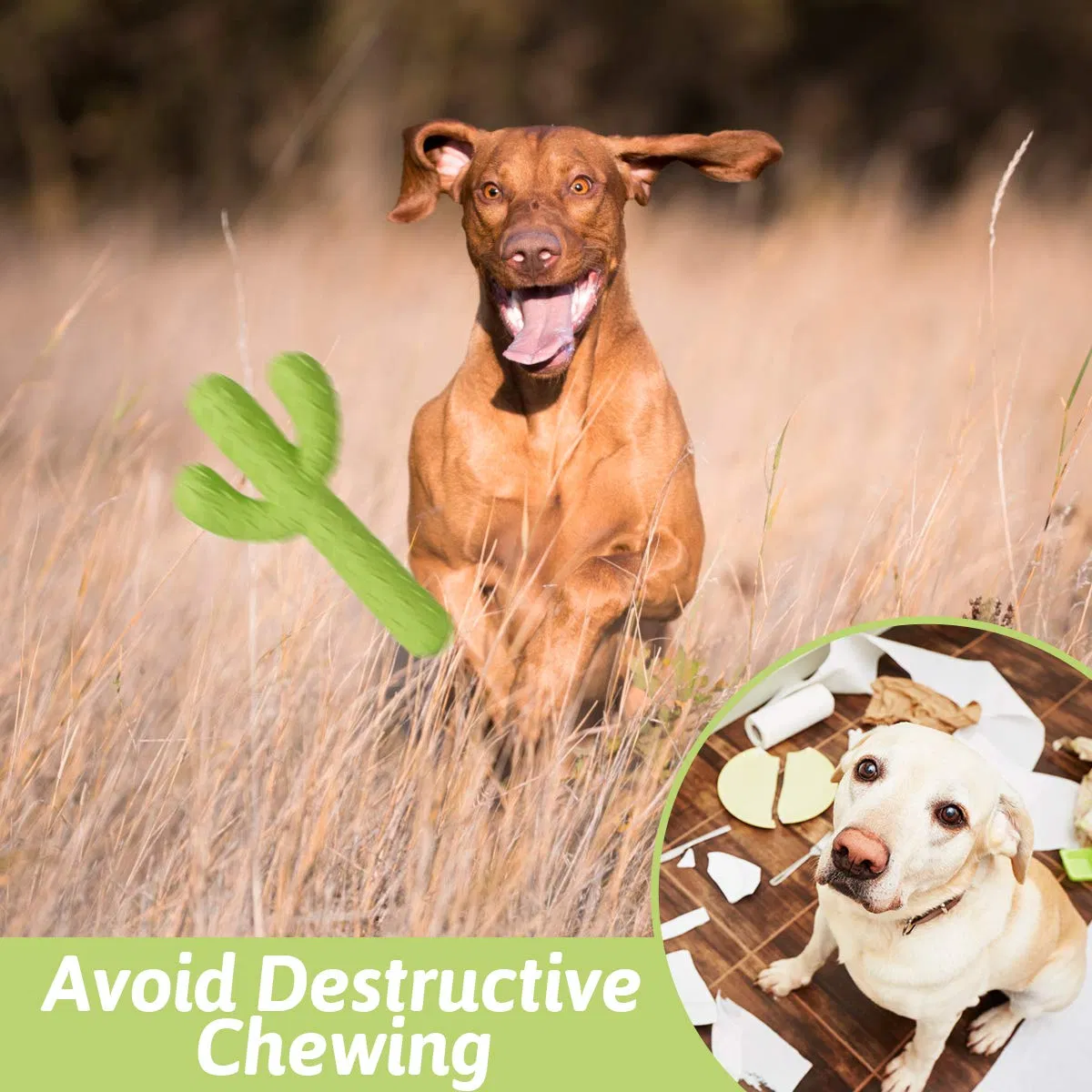 Juguetes para masticar perros, juguetes de goma duraderos para perros que mastican agresivamente, juguetes en forma de cactus resistentes para entrenamiento y limpieza dental, juguete interactivo para perros medianos y grandes