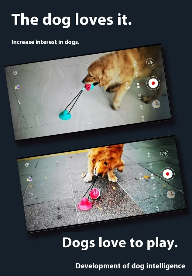 Juguete interactivo para perros con cuerda de succión, bola para masticar, juguete molar para mascotas