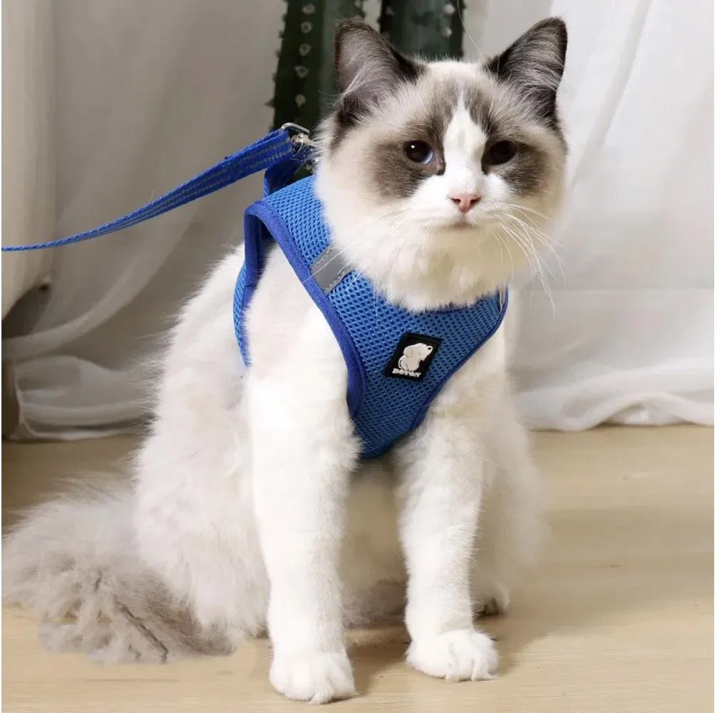 Arneses para mascotas con tirantes ajustables de malla transpirable y tira reflectante