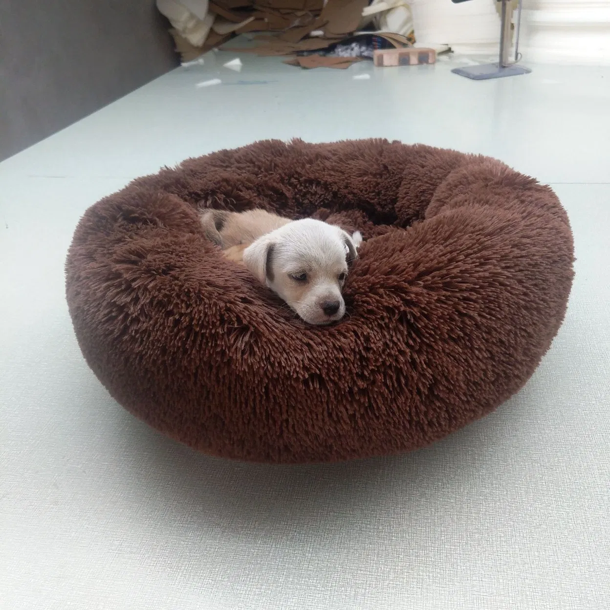 Cama para perros super grande y cómoda para todas las estaciones, con cojín acolchado para perros pequeños y grandes, asiento para perros en el coche