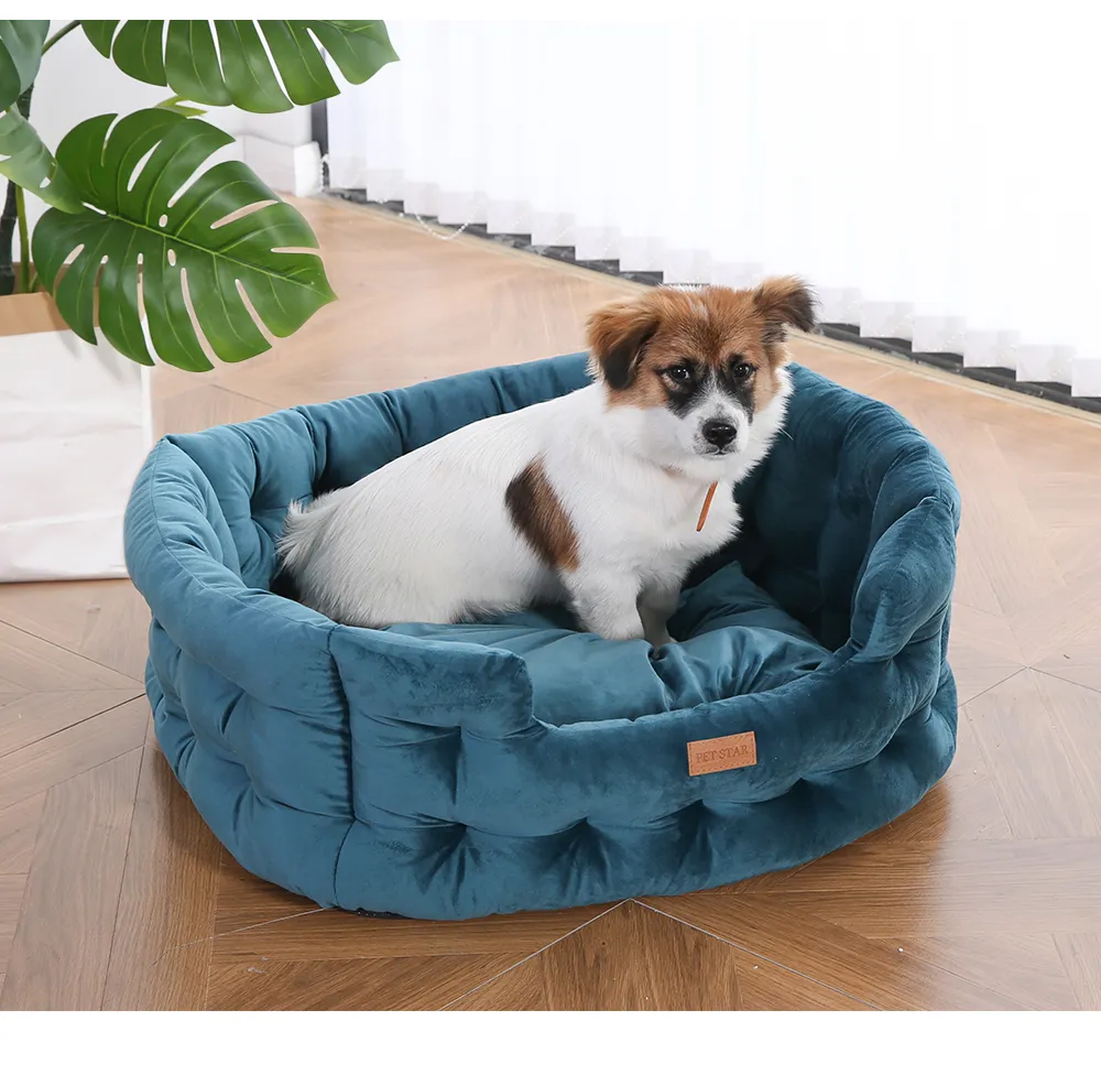 Cama de perro de lujo de terciopelo acolchado y cómodo con cojín removible