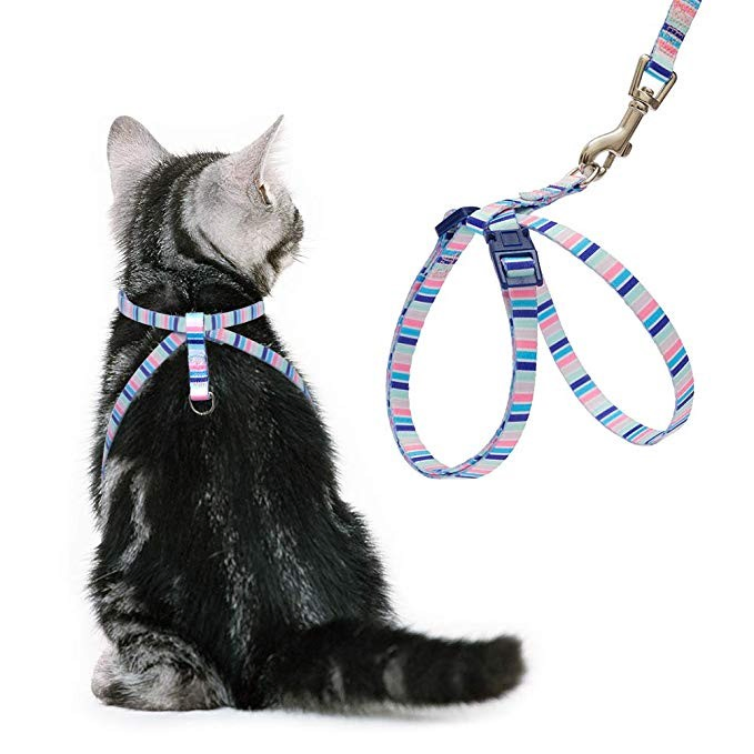 Muestras gratuitas de productos para mascotas Hanyang, suministros para mascotas, chaleco para perros, producto personalizado para mascotas, arnés para gatos, arnés para gatos y perros con correa
