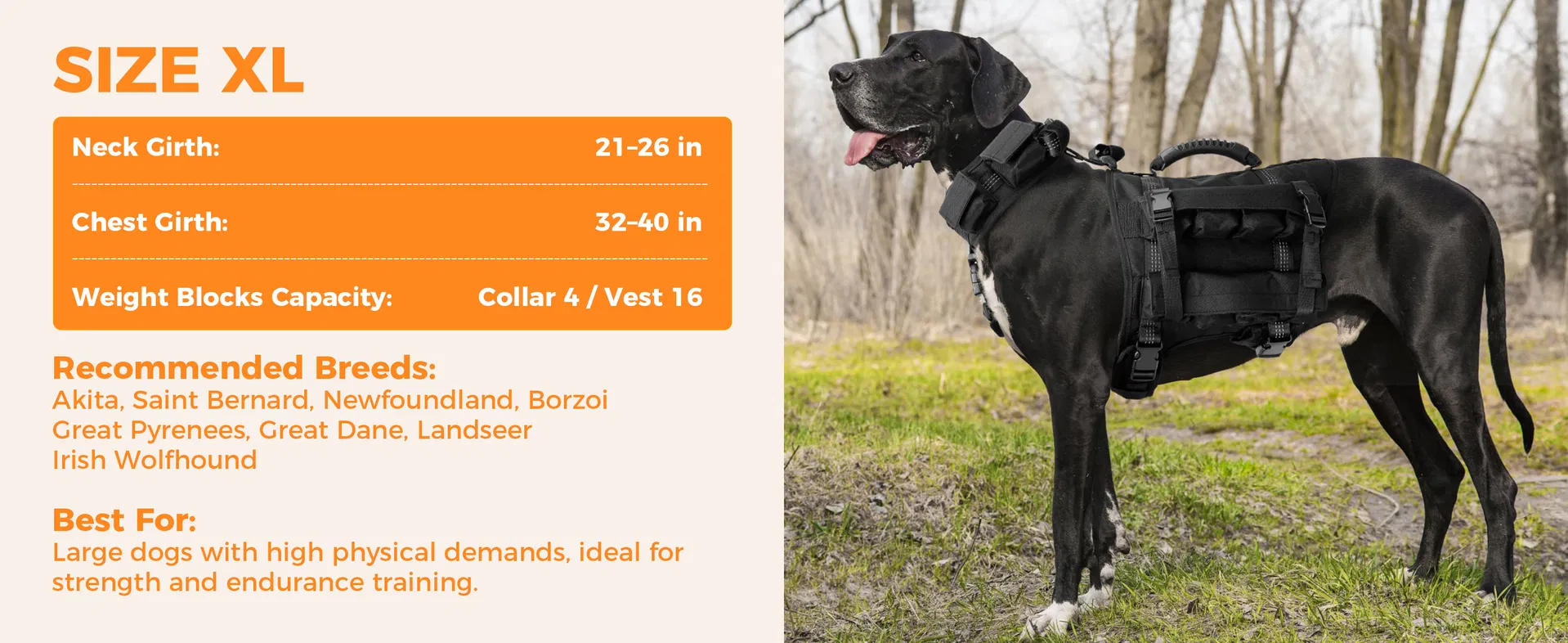 Conjunto de Chaleco y Collar para Perros con 4 Pesas Removibles de 0.88 Lb Equipamiento de Entrenamiento para Perros Medianos y Grandes